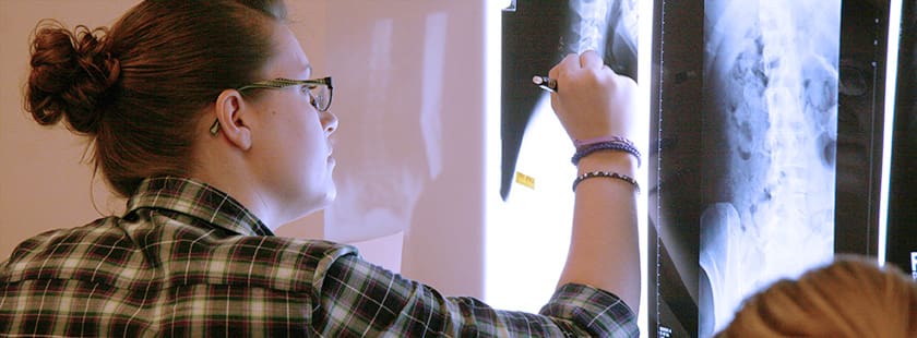 Imaging science student marking x-rays